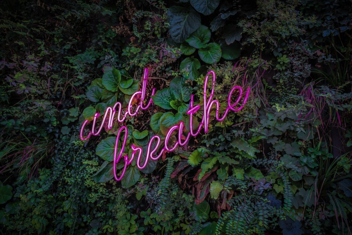 Insights brands embrace mindfulness 2020
