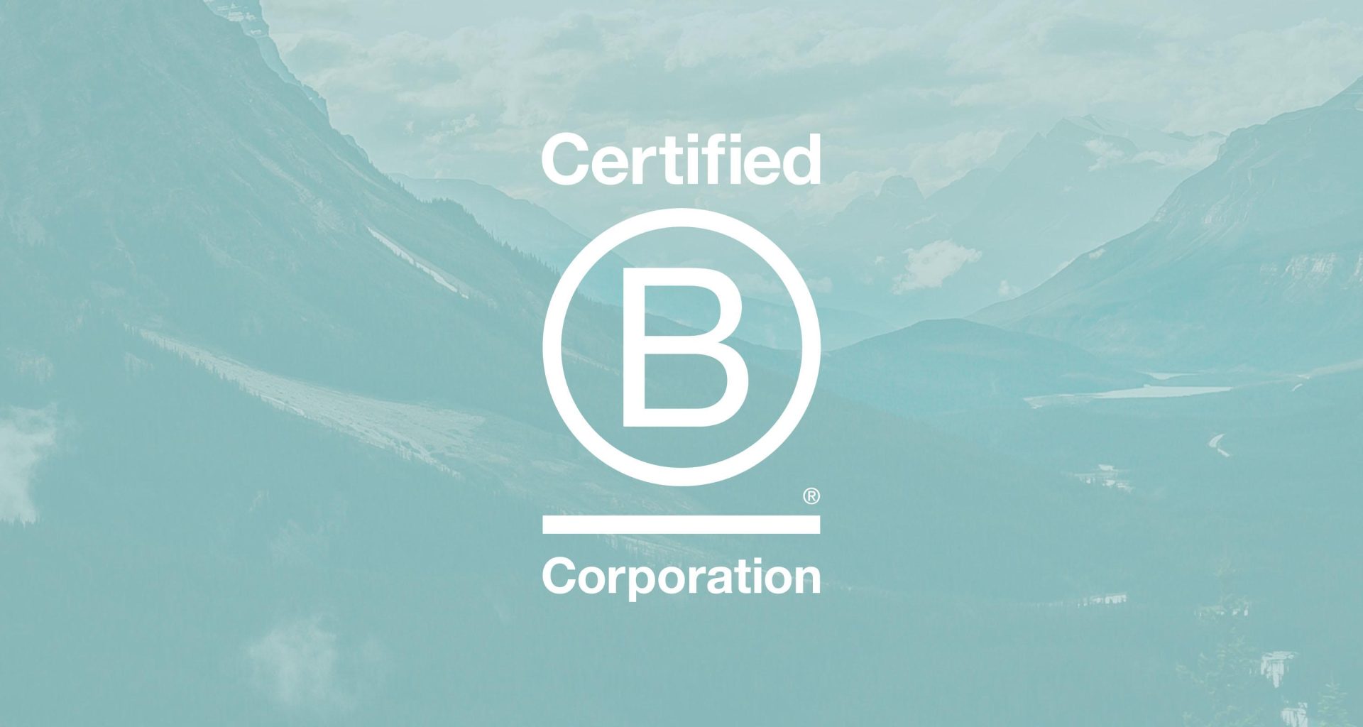 Insights b corp certified