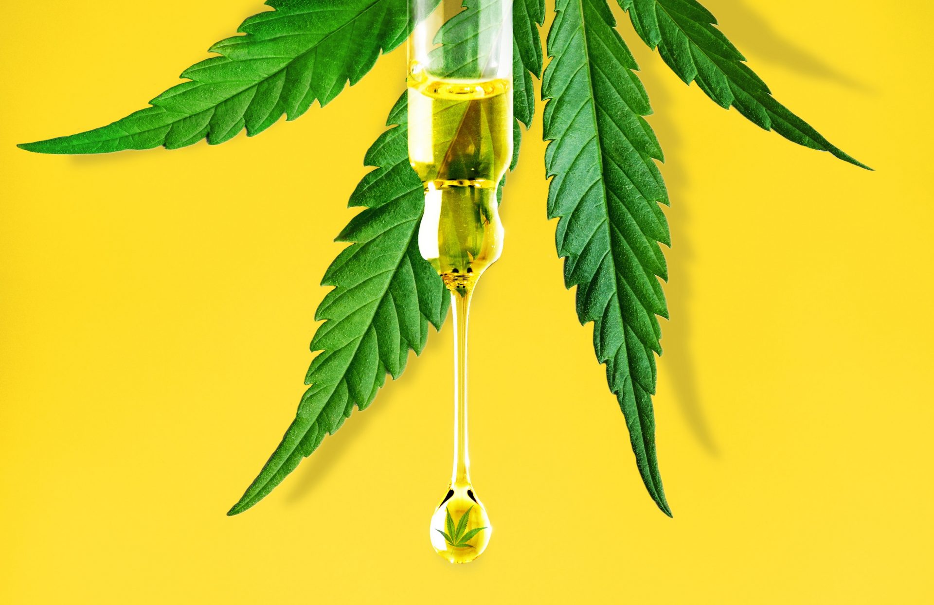 Insights win trust in the cbd market