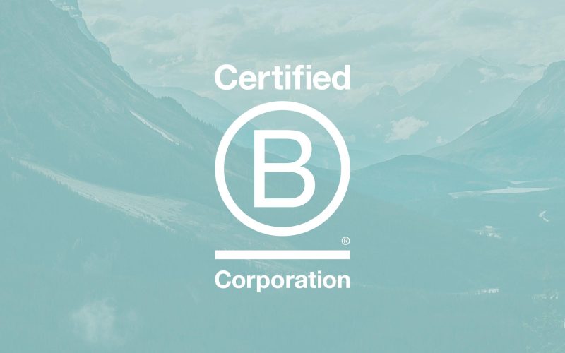 Insights b corp certified